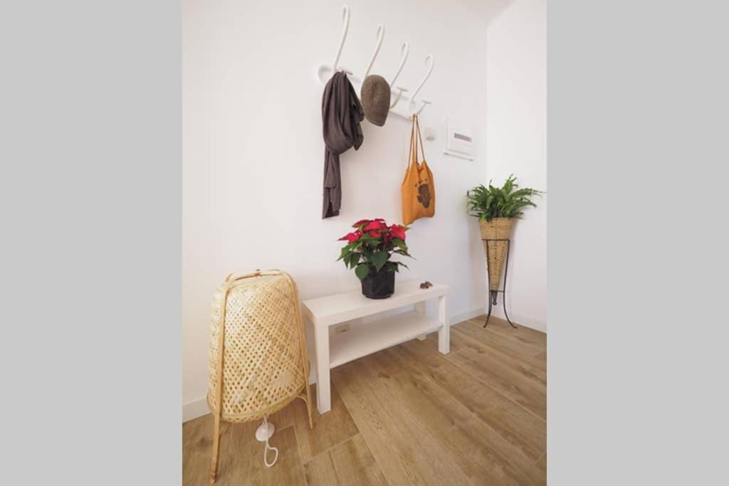 Apartaments Sa Calm Sant Miquel De Les Formigues 산트힐라리사캄 외부 사진